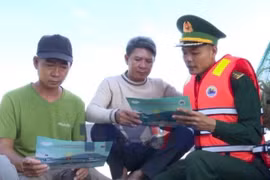 顺化：发挥综合力量 全力解除IUU“黄牌”警告