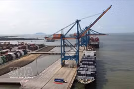 胡志明市海港系统迈向绿色纪元
