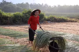 西宁省居民守护日早乡村的传统生计
