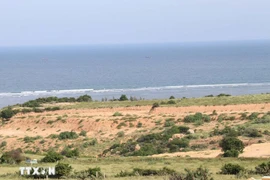 宁顺一号核电站项目位于庆和省福营乡。图自越通社