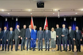 越南内务部副部长武战胜与越南驻奥地利大使武黎泰黄和两国代表合影。图自越通社