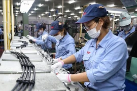 2026年年初越南吸引外资释放积极信号