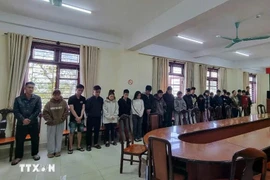林同省公安厅调查警察机关正式对22名嫌疑人（包括6名女性和16名男性）进行起诉并实施拘留，以调查其涉嫌违反《刑法》第324条第3款规定的洗钱罪。图自越通社