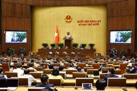第十五届国会第十次会议全景。图自越通社