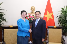 政府副总理兼外交部长裴青山会见了柬埔寨驻越南大使谢金塔。图自越通社