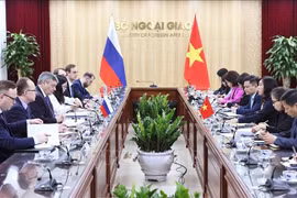 越南与俄罗斯外交副部长级政治磋商现场。图自越通社