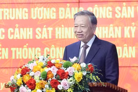 越共中央总书记苏林发表讲话。图自越通社