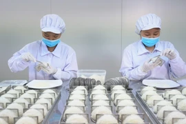 多措并举助力越南商品深耕本土市场