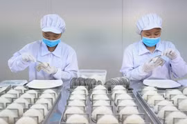 多措并举助力越南商品深耕本土市场