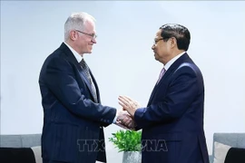 越南政府总理范明政会见南非工商会副主席尼尔·波洛克。图自越通社