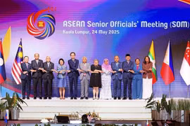 越南外交部副部长杜雄越（左五）和东盟高官会各国代表团代表合影。图自越通社