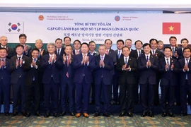 越共中央总书记苏林和韩国大型企业领导合影。图自越通社