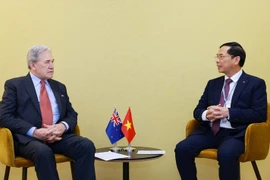 政府副总理兼外交部长裴青山会见新西兰外长彼得斯。图自越通社