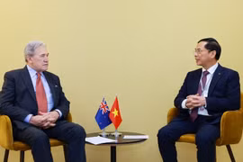 政府副总理兼外交部长裴青山会见新西兰外长彼得斯。图自越通社