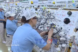 外商直接投资强劲增长 彰显越南投资环境吸引力