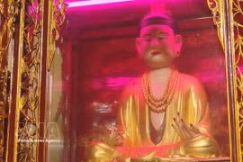 独具特色的宁平省广宫祠圣母柳杏雕像