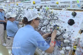 外商直接投资强劲增长 彰显越南投资环境吸引力