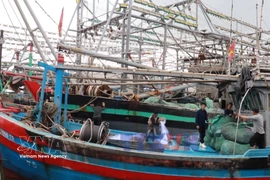 广治省渔民岁末出海喜获丰收