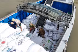 菲律宾是越南大米的主要进口市场。图自越通社
