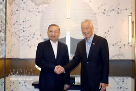 越共中央总书记、国家主席苏林会见新加坡前总理李显龙。图自越通社