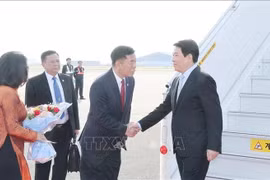 越南国家主席梁强及越南高级代表团乘坐专机于当地时间10月29日14时50分（越南时间12时50分）抵达韩国釜山金海空军基地。图自越通社