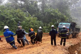 广治电力公司工人们正在克服各种困难，努力在12月15日之前恢复偏远村庄的电力供应。图自越通社