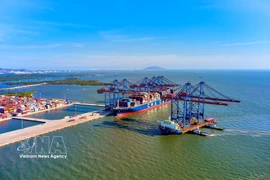 2026年投资机遇——以内生动力为坚实支点