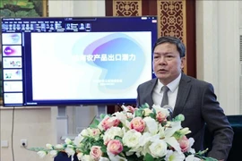 越南驻中国大使馆商务参赞农德来。图自越通社