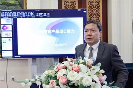 越南驻中国大使馆商务参赞农德来。图自越通社