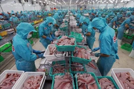 水产品是越南主要出口产品之一。图自越通社