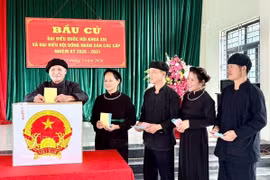 越南第十六届国会和各级人民议会代表选举投票率达99.68%