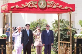 埃及总统塞西为越南国家主席梁强举行隆重的欢迎仪式