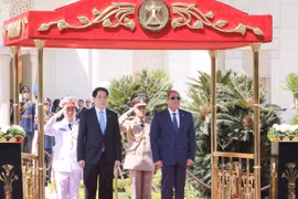 埃及总统塞西为越南国家主席梁强举行隆重的欢迎仪式