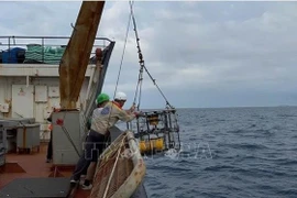 越南与俄罗斯开展海洋和大陆架考察活动。