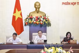 国会主席陈青敏发表讲话。图自越通社