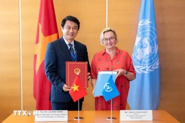 2025年7月17日，越南外交部副部长黎英俊与UNCITRAL秘书长安娜·茹班-布雷特共同签署了《越南外交部与联合国国际贸易法委员会2025-2031年合作谅解备忘录》。图自越通社