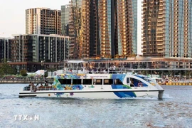 乘船观赏西贡河的旅游线路。图自越通社 