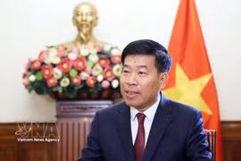 越共中央委员、外交部党委常务副书记、外交部副部长阮孟强。图自越通社