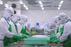 与2024年相比，2025年农林水产品出口前景亮眼。图自越通社