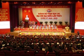 越共嘉莱省第一次代表大会闭幕式。图自越通社