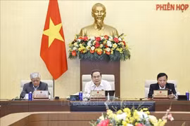 国会主席陈青敏发表讲话。图自越通社