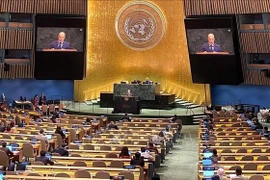 越南常驻联合国代表团副团长阮黄原公使在会上发表讲话。图自越通社