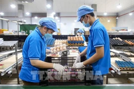 今年前10月越南全国CPI指数上涨3.27%。图自越通社