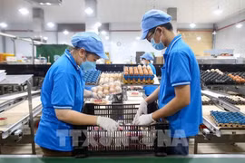 今年前10月越南全国CPI指数上涨3.27%。图自越通社