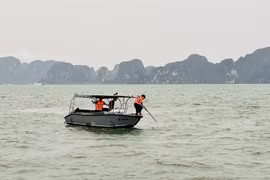 图自tienphong.vn