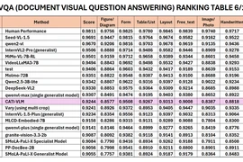 2025年6月DocVQA 类别 RRC 排名。图自越通社