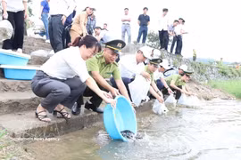 在海防市昆山—劫泊世界遗产区的昆山湖边，代表们在集会结束后放鱼，丰富水资源。图自越通社