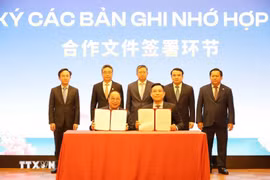 两国企业代表签署合作文件。图自越通社