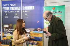 2026英国伦敦食品饮料展览会：全球食品饮料行业趋势及越南的机遇