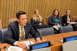 越南常驻联合国代表团团长邓黄江大使在会上发表讲话。图自越通社